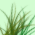 Contains New Posts